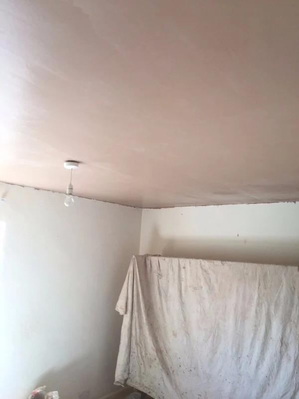 Ceilings rendering in Dorset